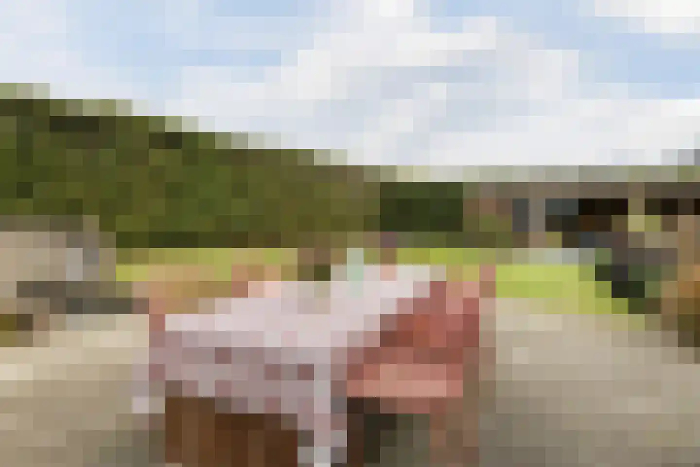 Hoornbloem 10 Nijverdal thumbnail 52