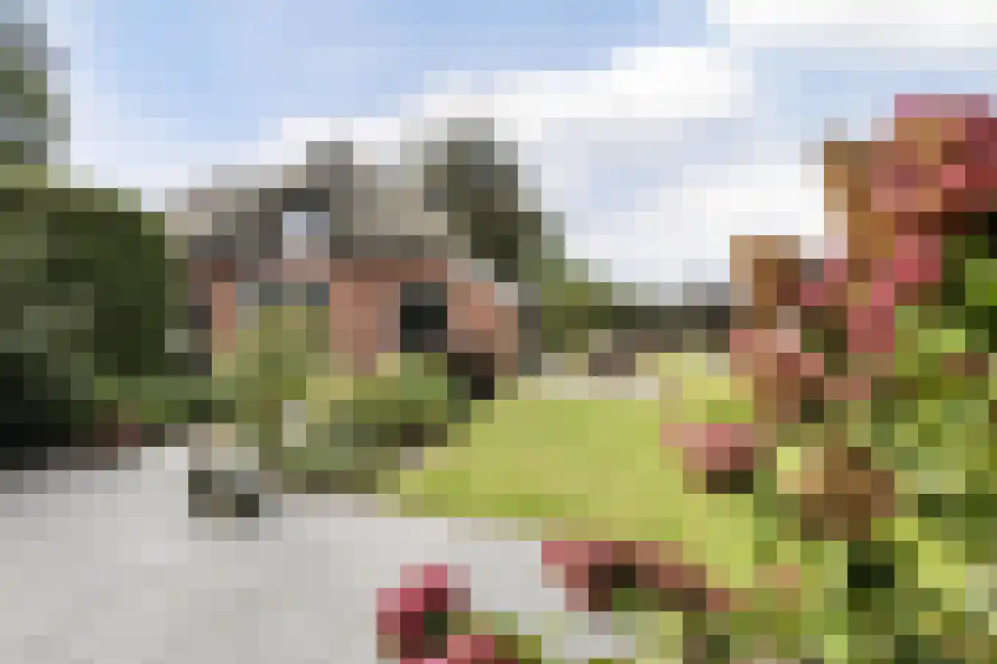 Hoornbloem 10 Nijverdal thumbnail 56