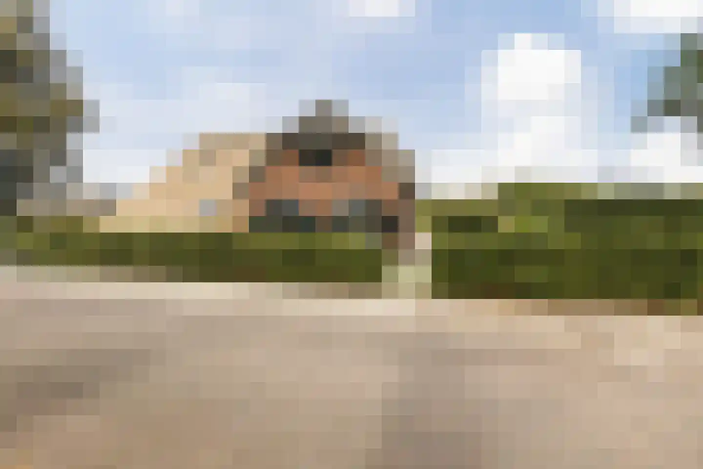 Hoornbloem 10 Nijverdal thumbnail 6
