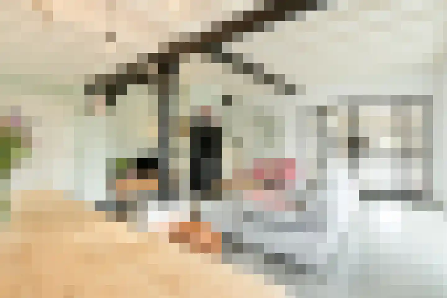 Hoornbloem 10 Nijverdal thumbnail 7