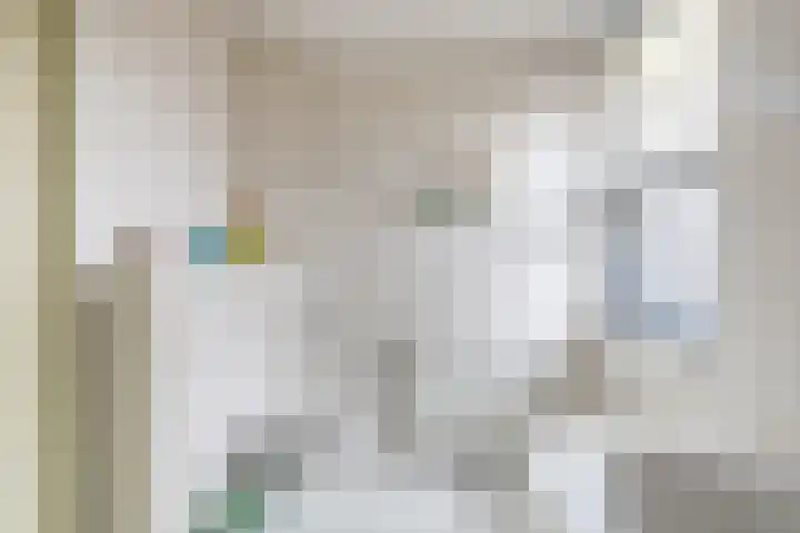 Hoornbloem 10 Tegelen thumbnail 18