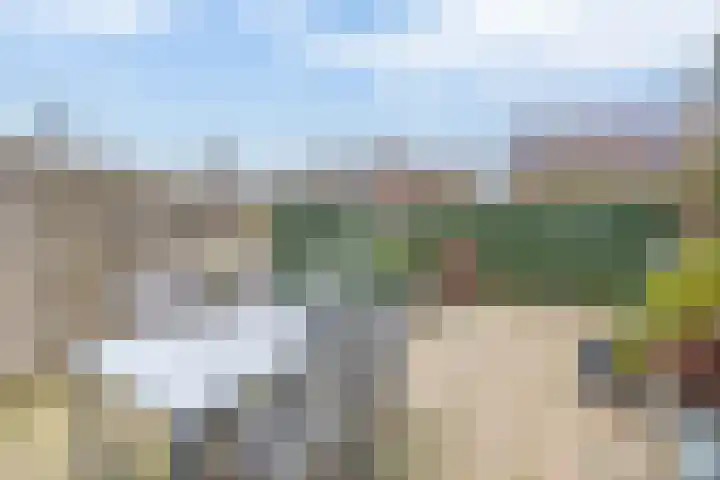Hoornbloem 10 Tegelen thumbnail 21