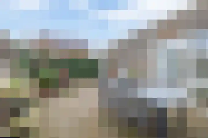 Hoornbloem 10 Tegelen thumbnail 22