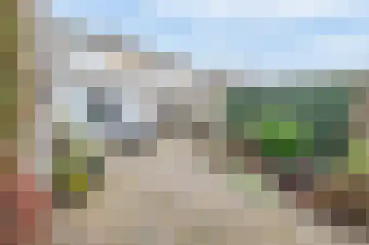 Hoornbloem 10 Tegelen thumbnail 23
