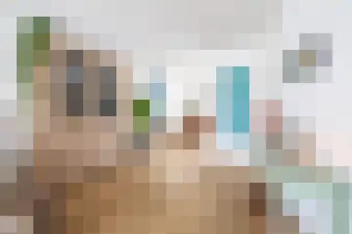 Hoornbloem 10 Tegelen thumbnail 7