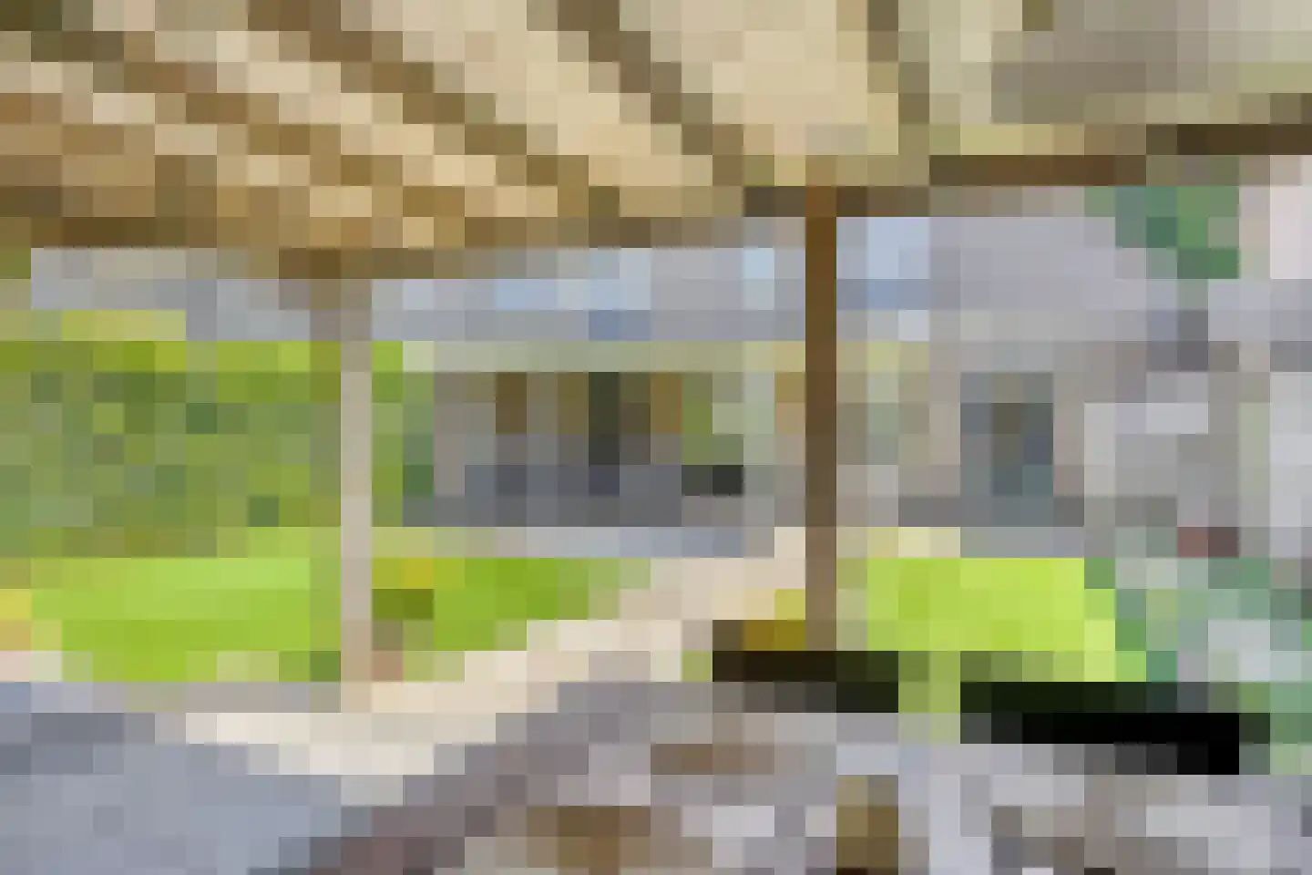 Hoornbloem 12 Grave thumbnail 30
