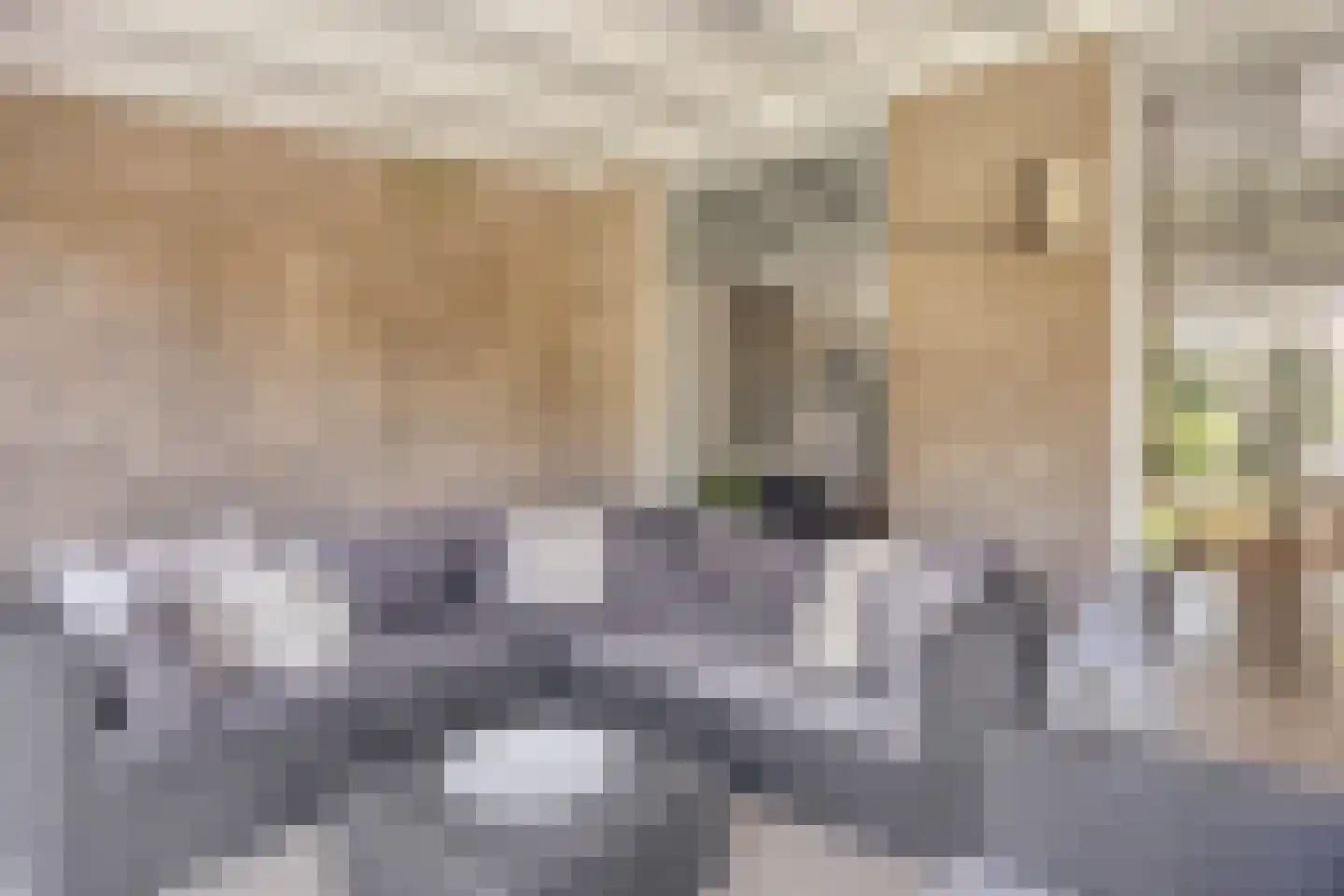 Hoornbloem 12 Grave thumbnail 34