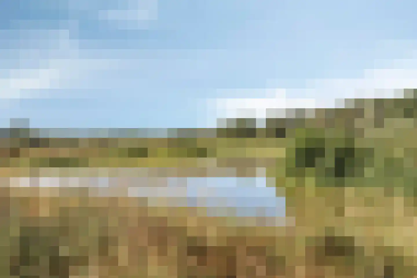 Hoornbloem 12 Grave thumbnail 40