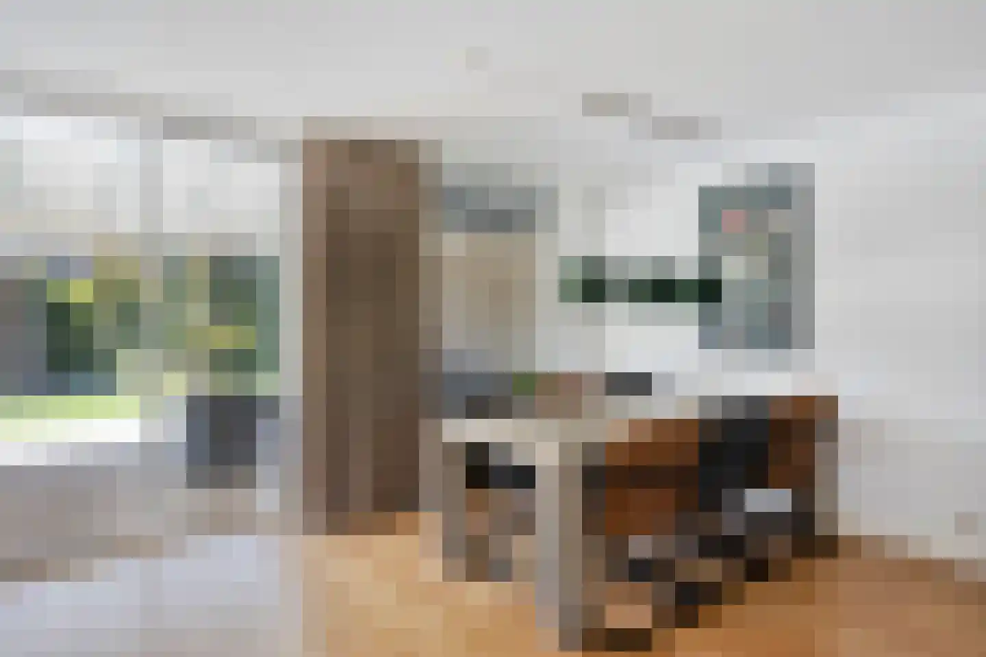 Hoornbloem 12 Grave thumbnail 8