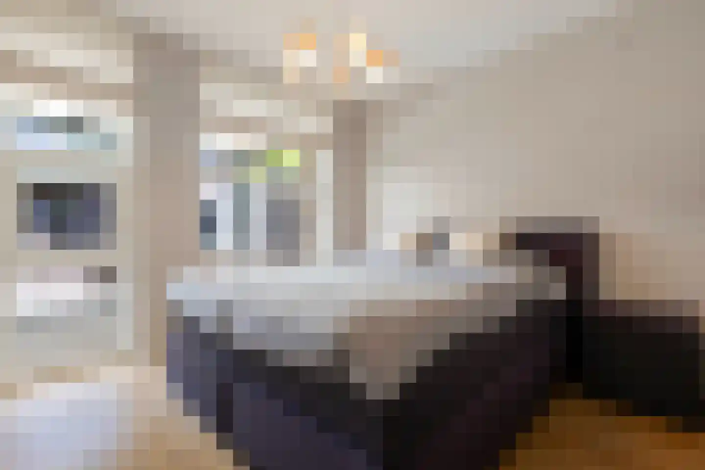 Hoornbloem 2 Tegelen thumbnail 22