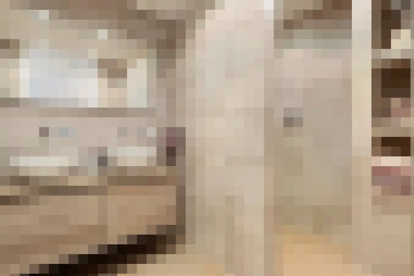 Hoornbloem 2 Tegelen thumbnail 26