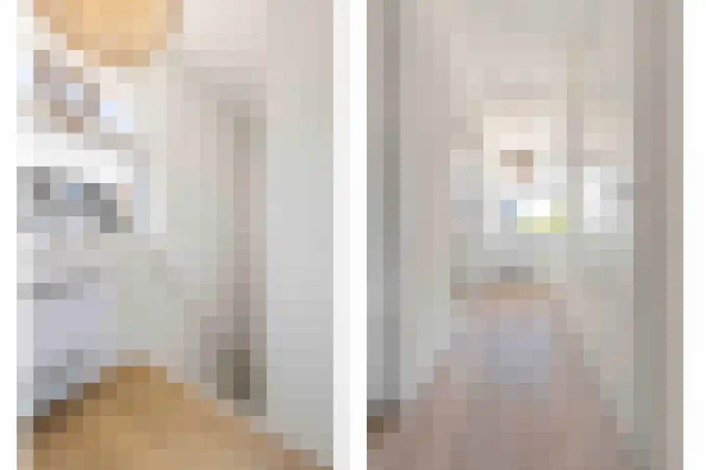 Hoornbloem 2 Tegelen thumbnail 29