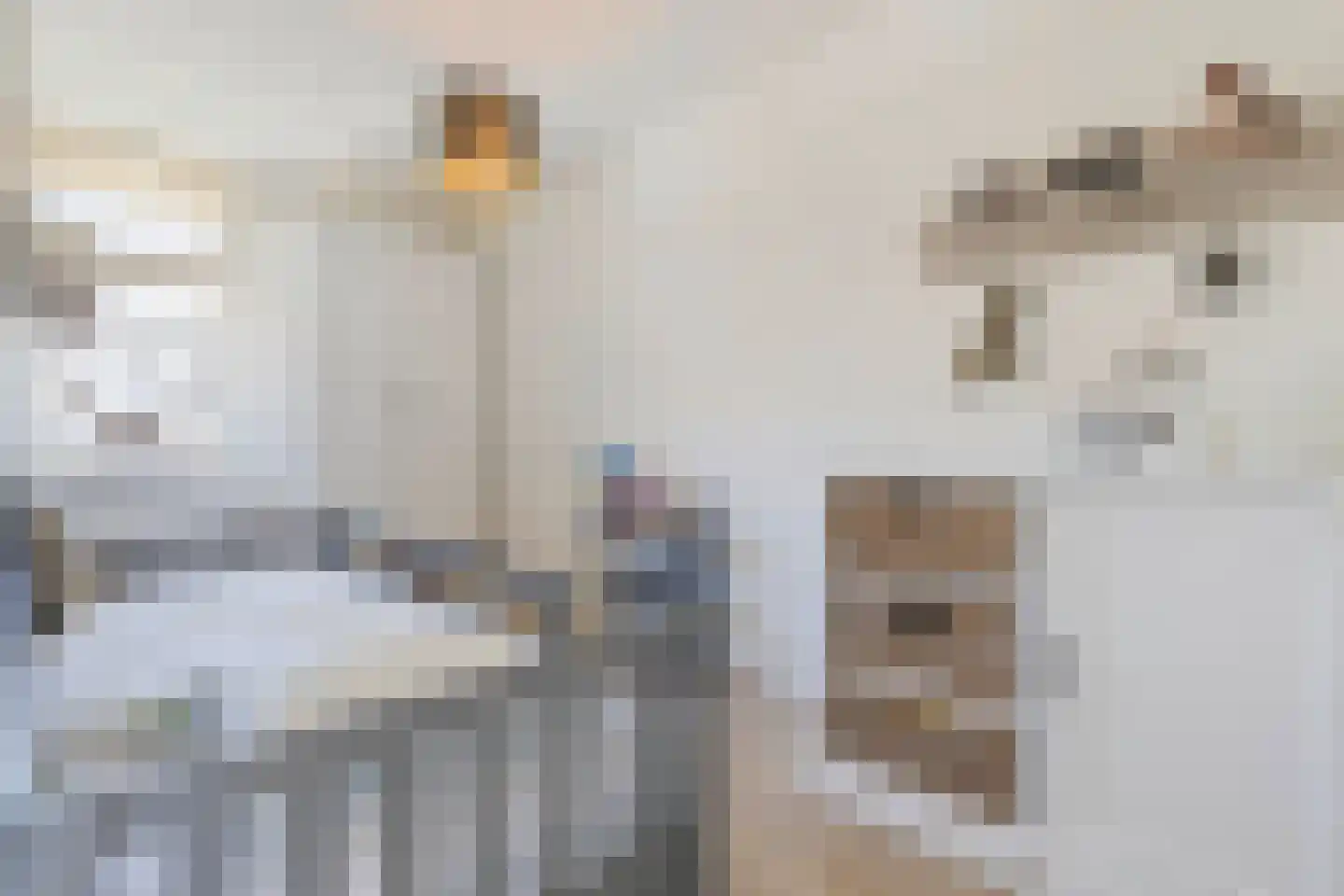 Hoornbloem 2 Tegelen thumbnail 32