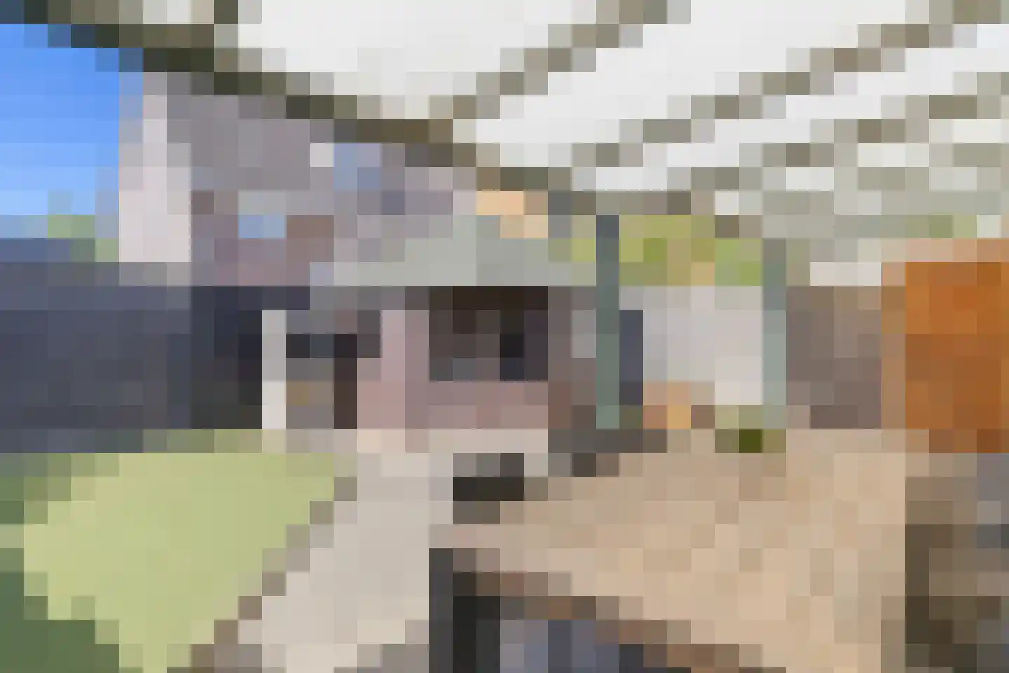 Hoornbloem 2 Tegelen thumbnail 37