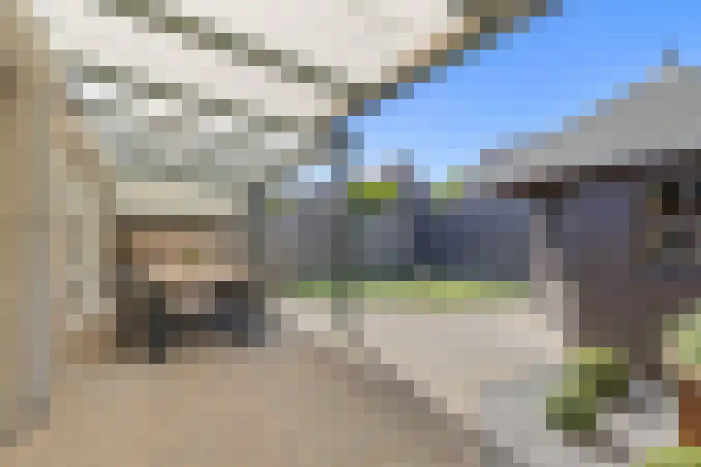 Hoornbloem 2 Tegelen thumbnail 39