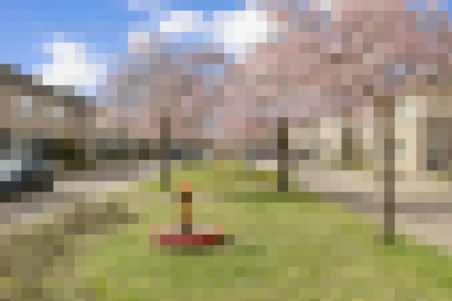 Hoornbloem 2 Tegelen thumbnail 44
