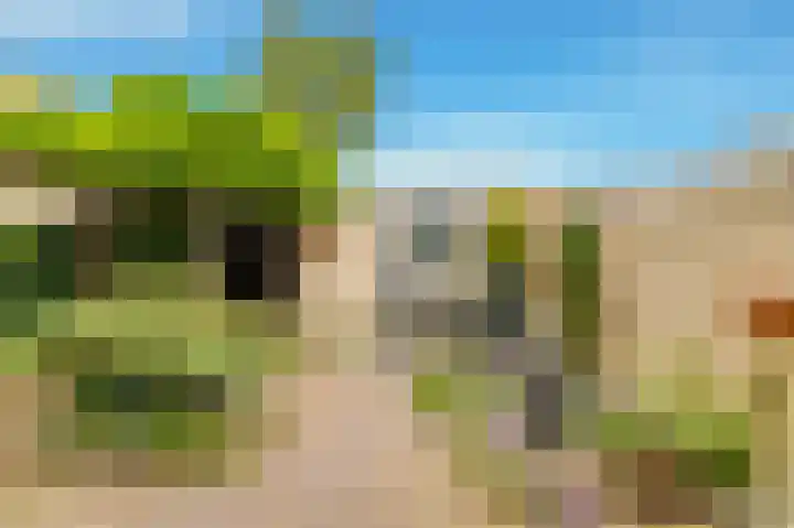 Hoornbloem 20 Castricum thumbnail 38
