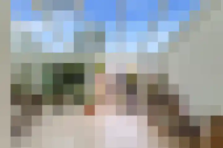 Hoornbloem 20 Castricum thumbnail 4