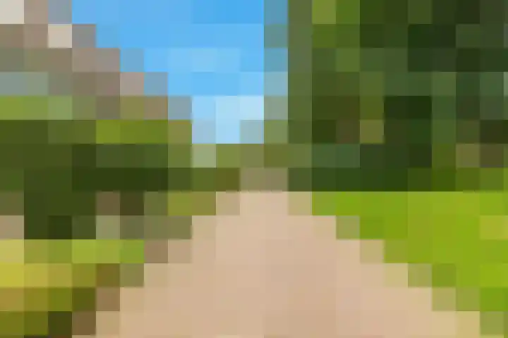 Hoornbloem 20 Castricum thumbnail 47