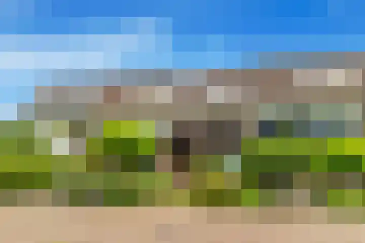 Hoornbloem 20 Castricum thumbnail 5