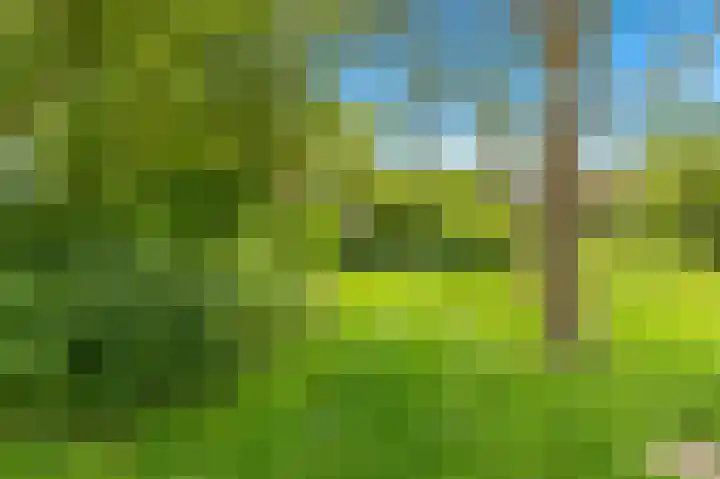 Hoornbloem 20 Castricum thumbnail 50