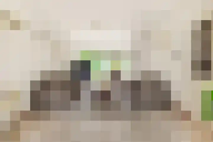 Hoornbloem 20 Castricum thumbnail 8