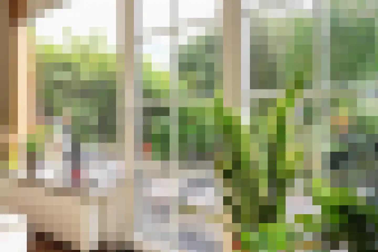 Hoornbloem 25 Leeuwarden thumbnail 23