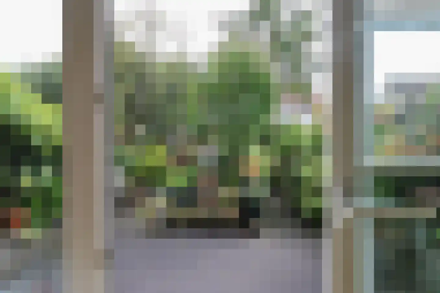 Hoornbloem 25 Leeuwarden thumbnail 24
