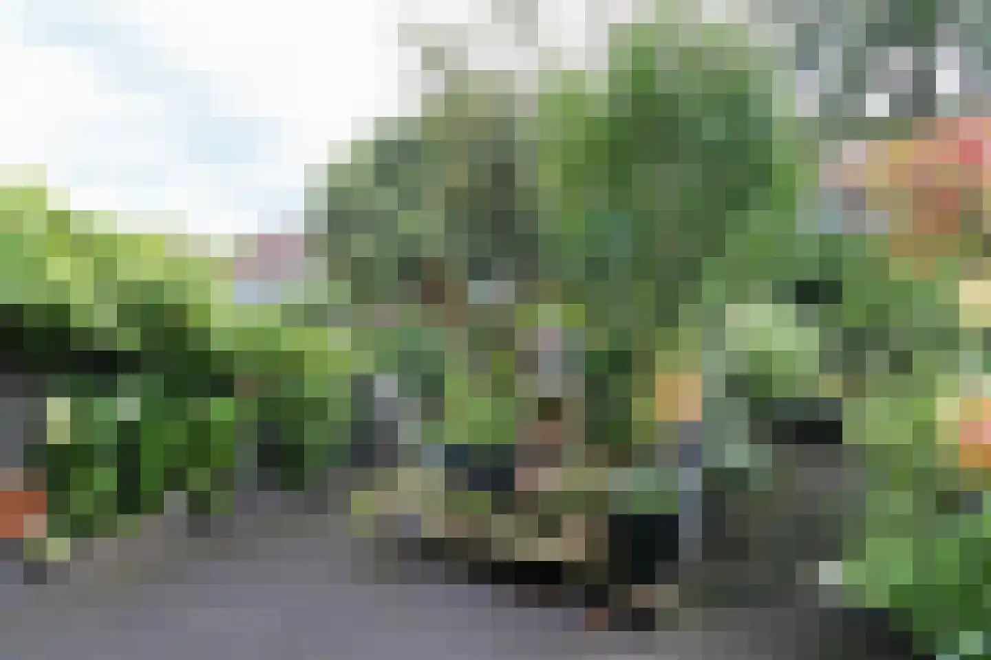 Hoornbloem 25 Leeuwarden thumbnail 51