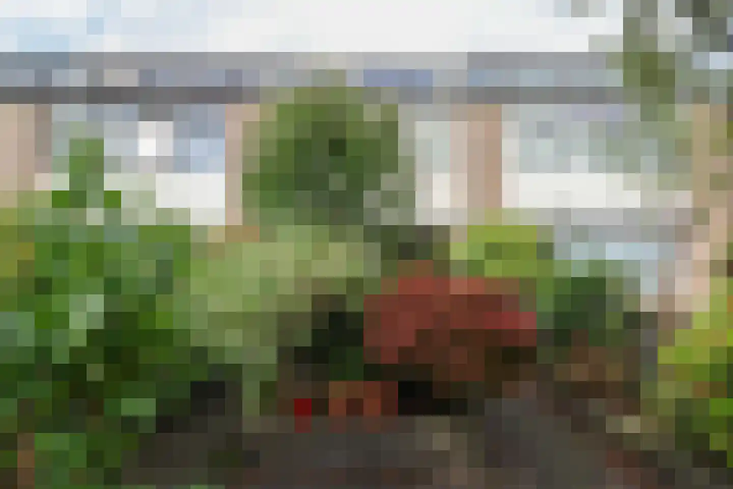 Hoornbloem 25 Leeuwarden thumbnail 56