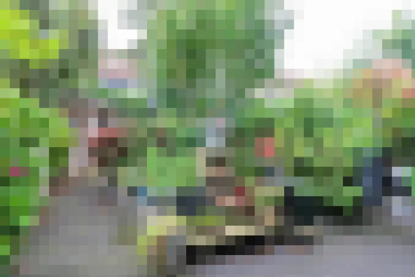 Hoornbloem 25 Leeuwarden thumbnail 7