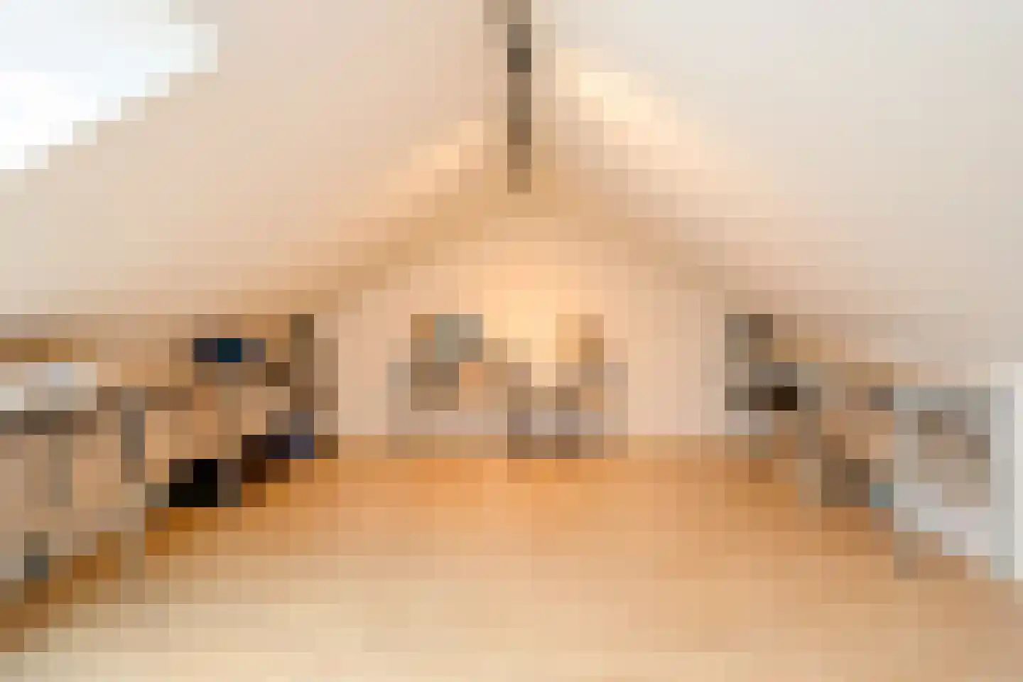Hoornbloem 27 Brummen thumbnail 12