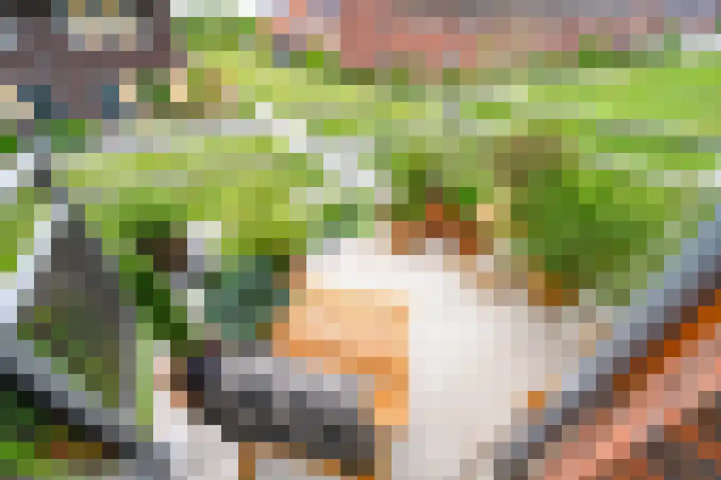 Hoornbloem 27 Brummen thumbnail 14