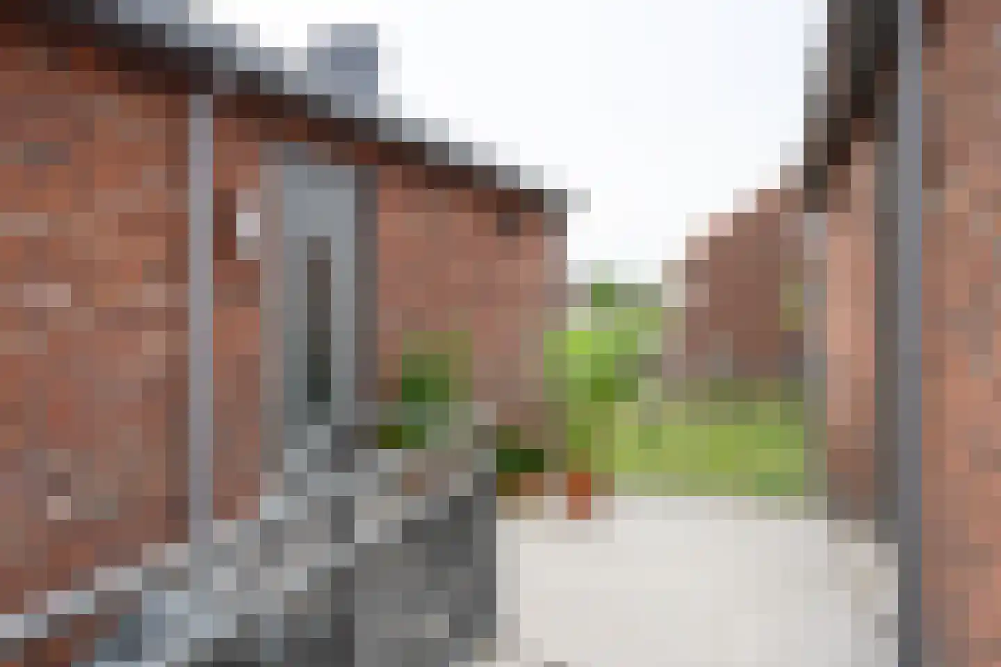 Hoornbloem 27 Brummen thumbnail 15