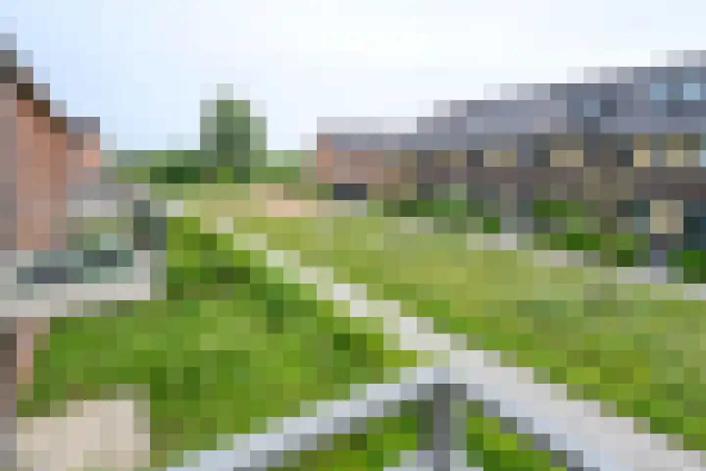 Hoornbloem 27 Brummen thumbnail 16
