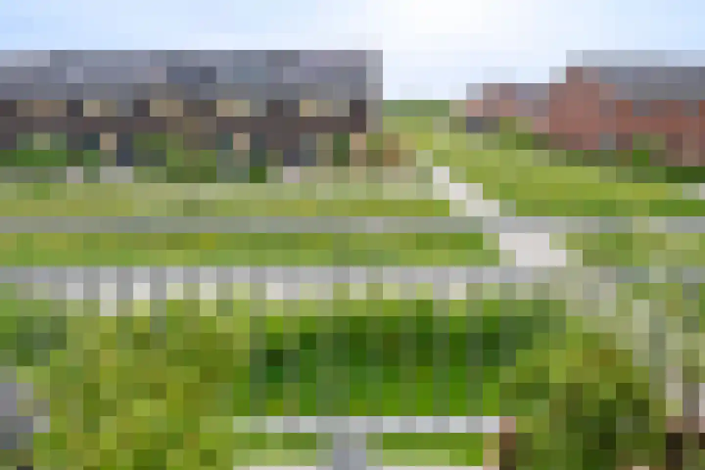 Hoornbloem 27 Brummen thumbnail 18