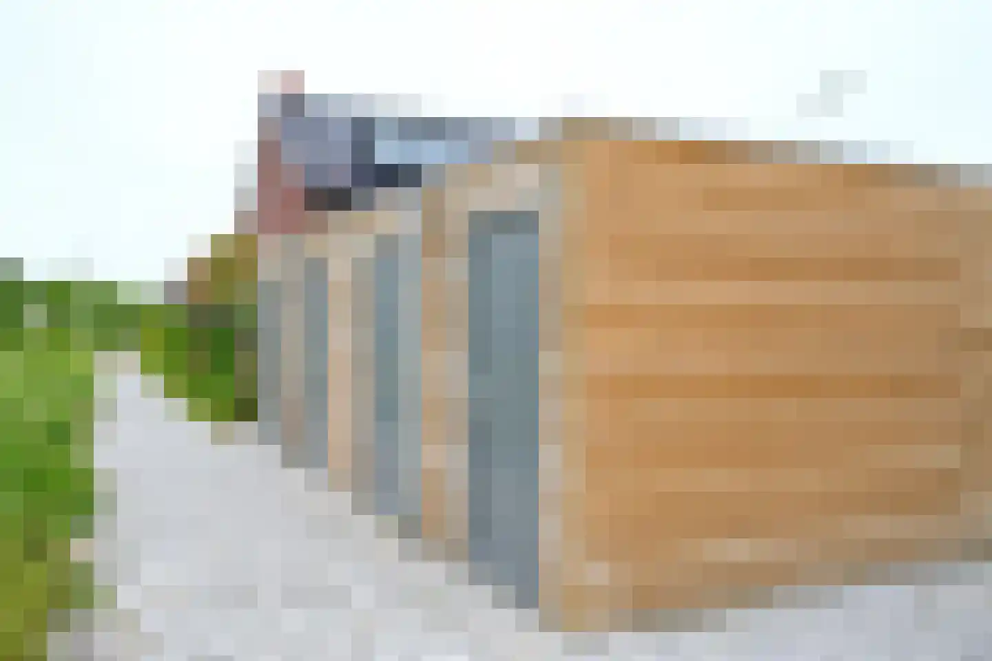 Hoornbloem 27 Brummen thumbnail 19