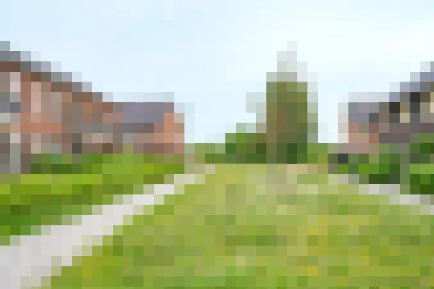 Hoornbloem 27 Brummen thumbnail 22