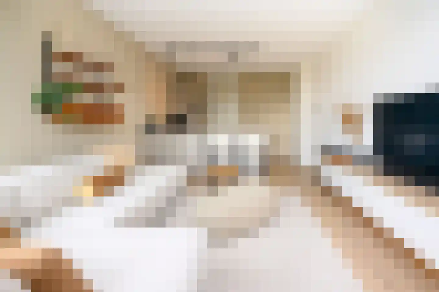 Hoornbloem 27 Brummen thumbnail 4
