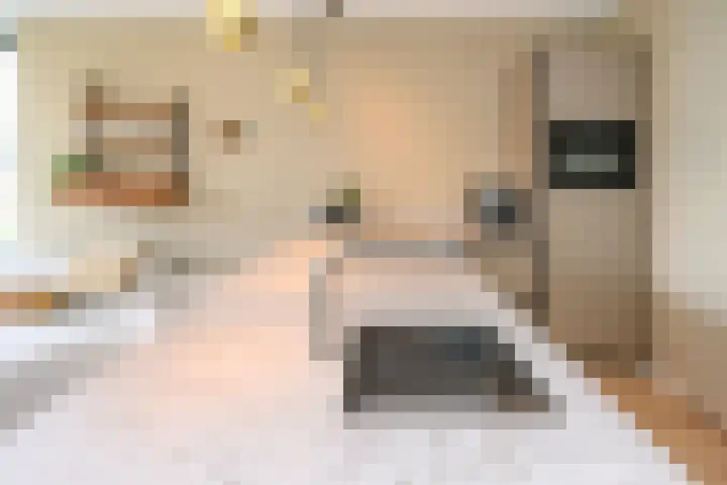 Hoornbloem 27 Brummen thumbnail 6