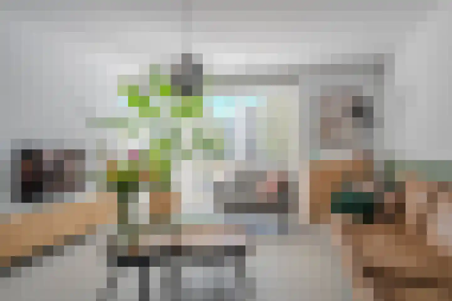 Hoornbloem 32 Tegelen thumbnail 10