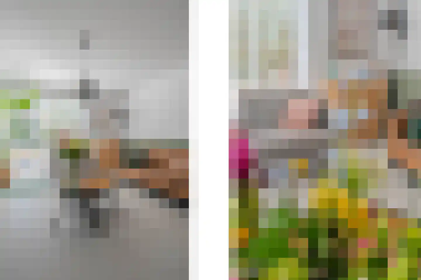 Hoornbloem 32 Tegelen thumbnail 11