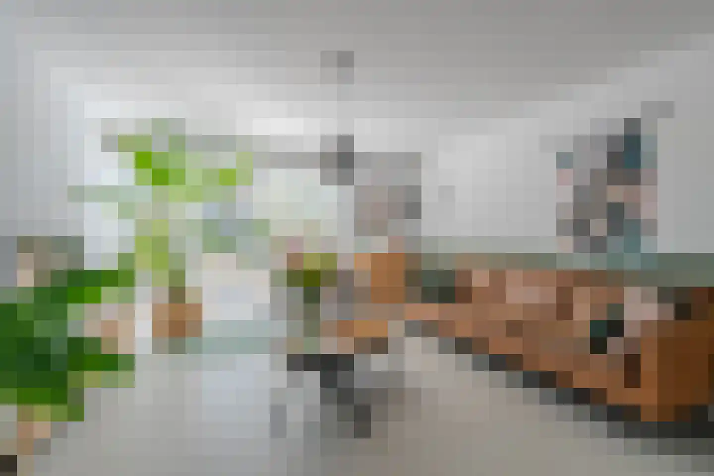 Hoornbloem 32 Tegelen thumbnail 12