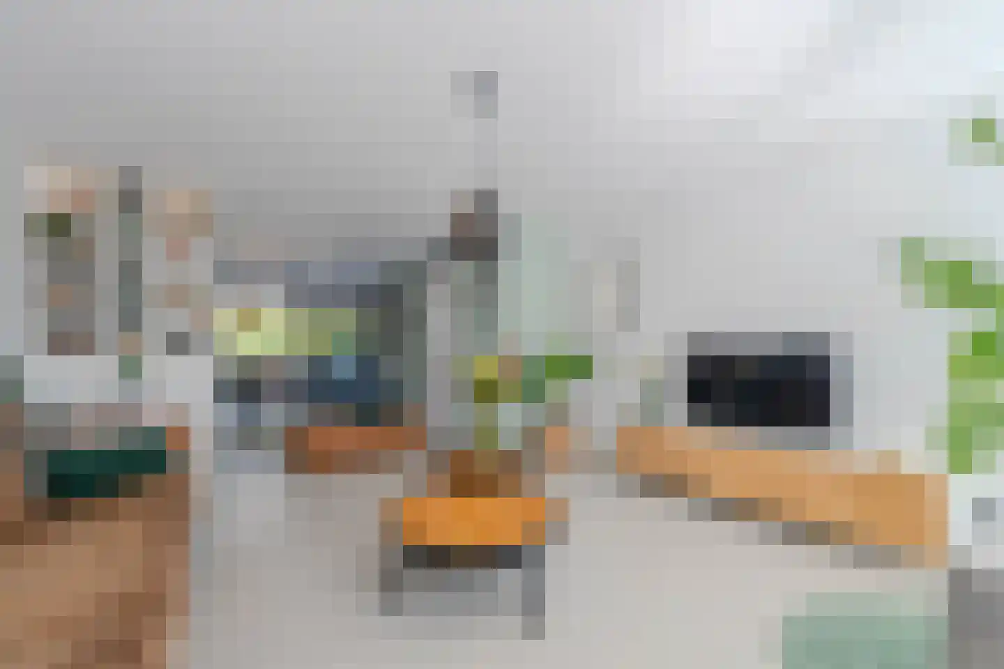 Hoornbloem 32 Tegelen thumbnail 13