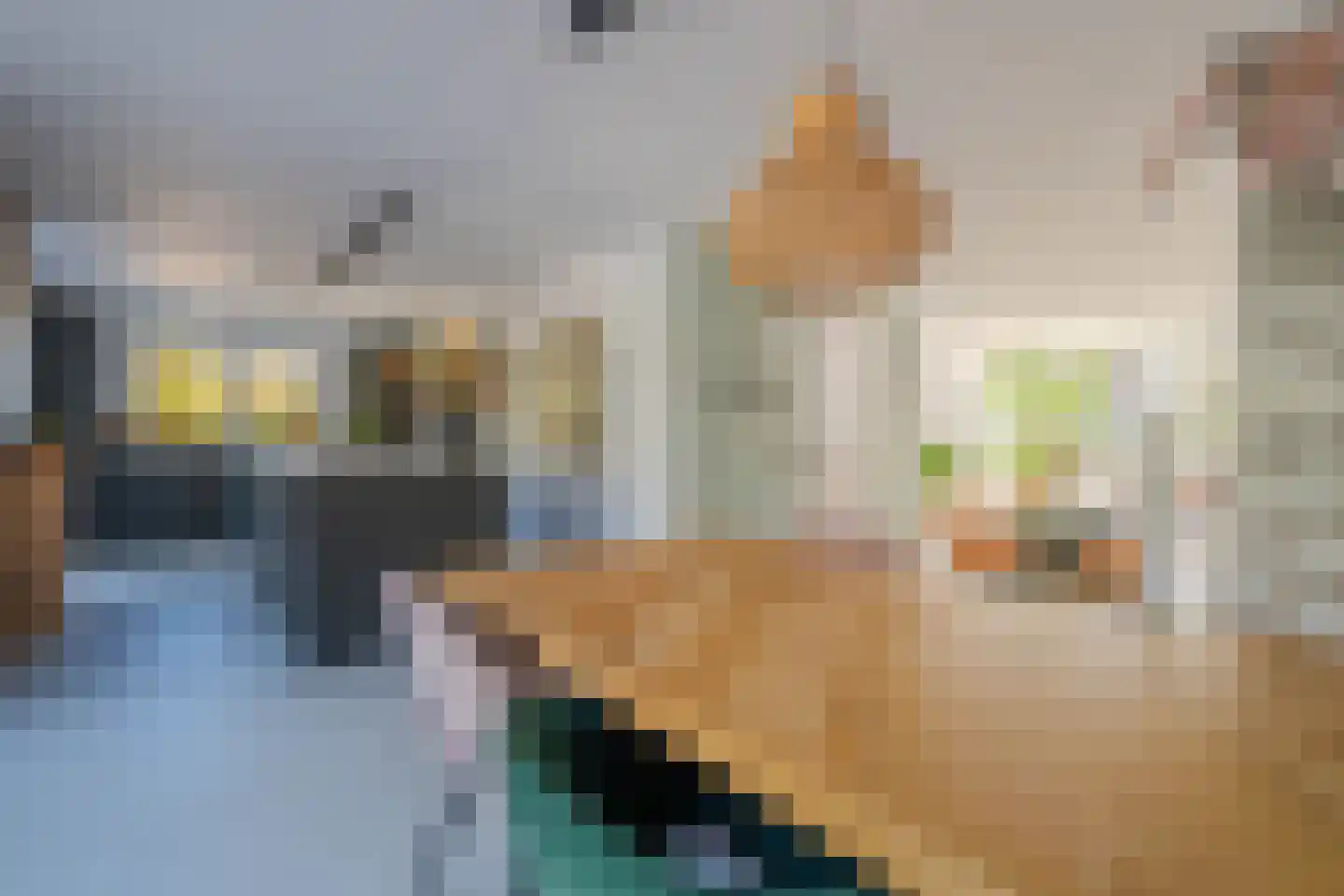 Hoornbloem 32 Tegelen thumbnail 23