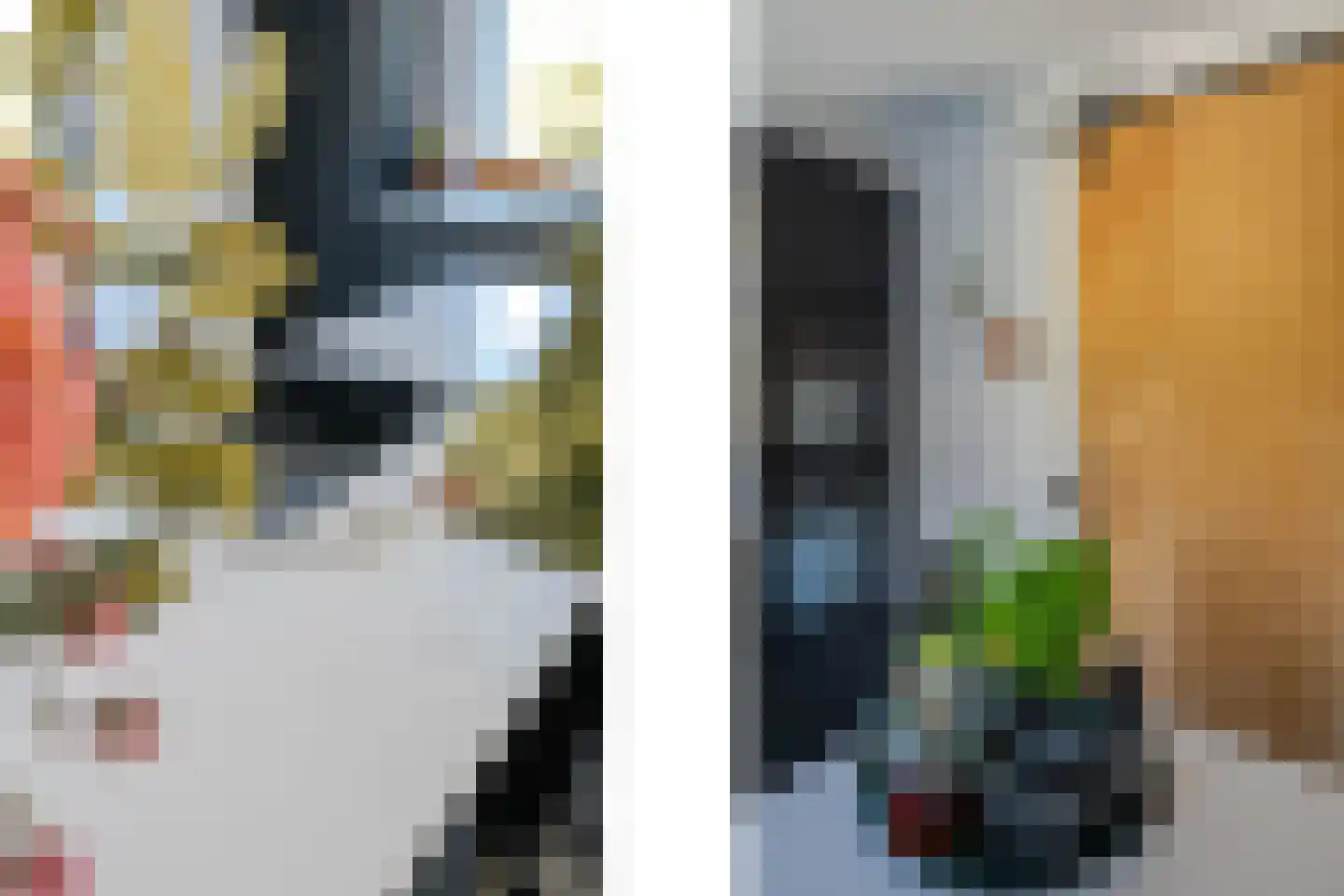 Hoornbloem 32 Tegelen thumbnail 27