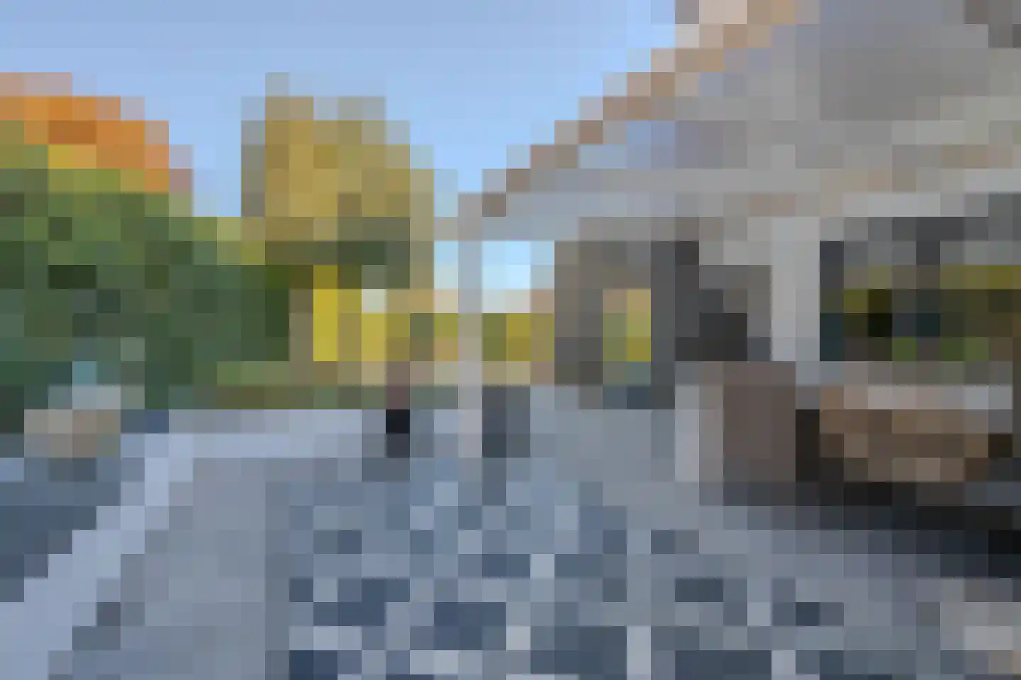 Hoornbloem 32 Tegelen thumbnail 60