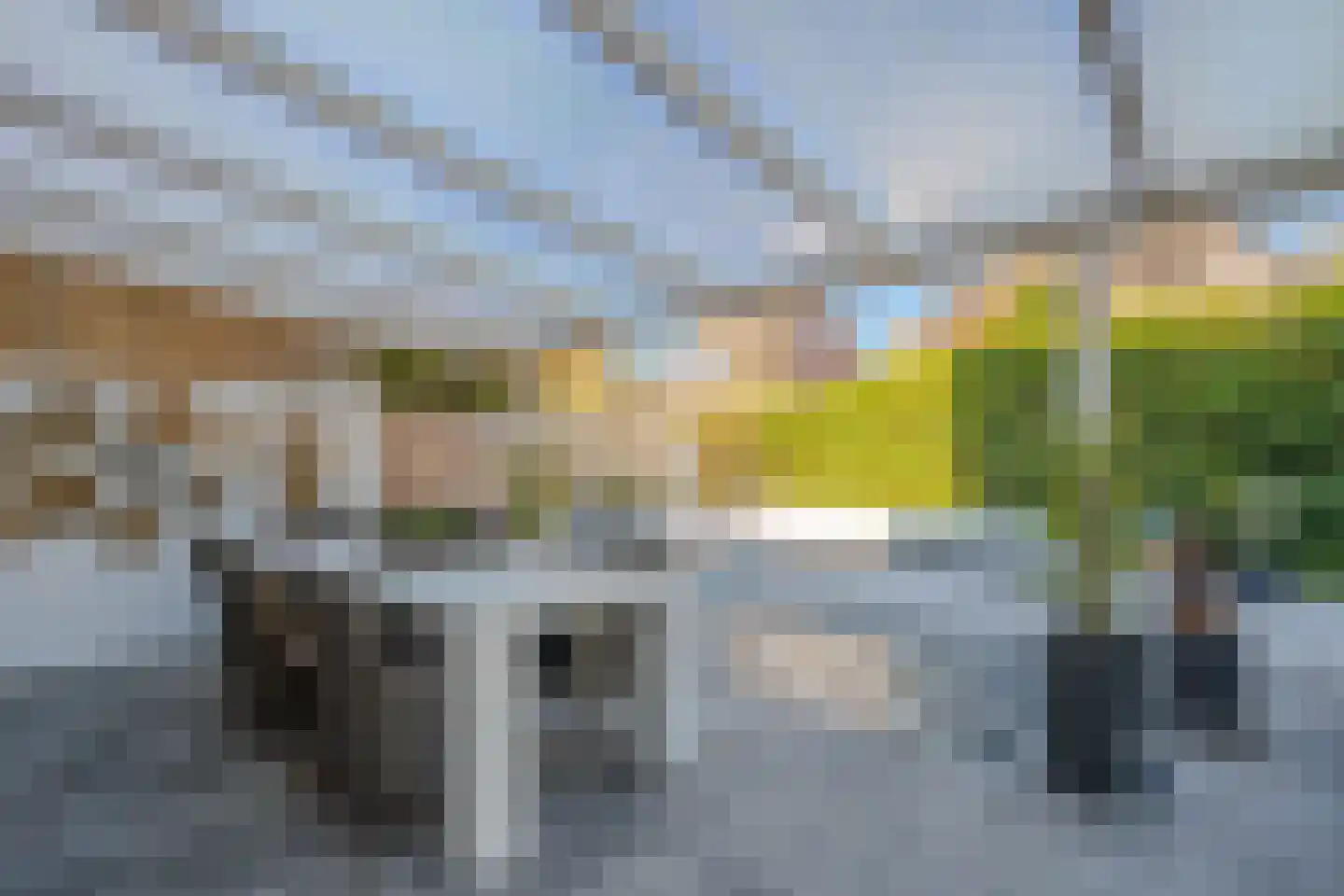 Hoornbloem 32 Tegelen thumbnail 64