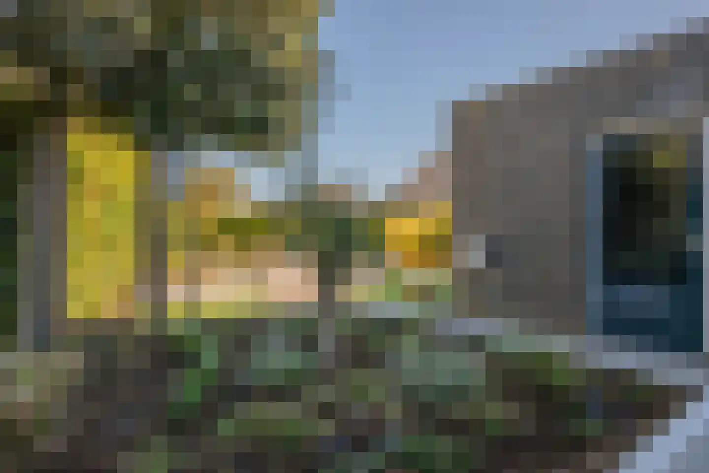 Hoornbloem 32 Tegelen thumbnail 66