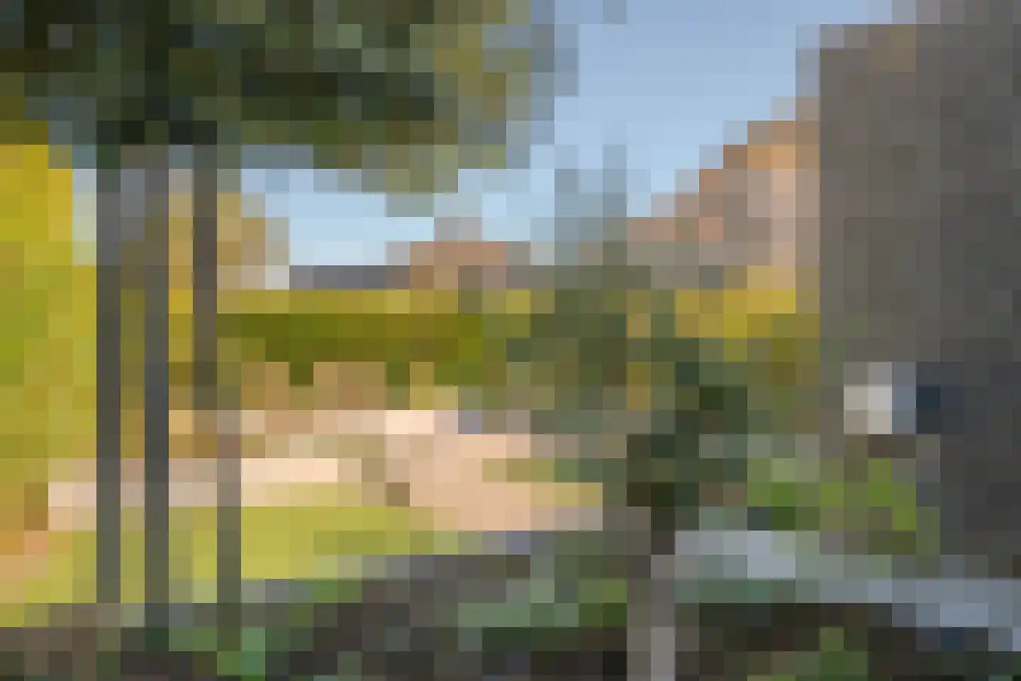 Hoornbloem 32 Tegelen thumbnail 67